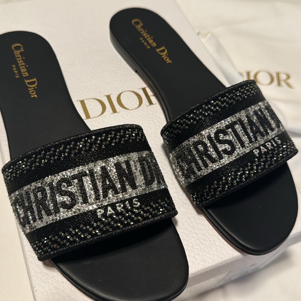Christian Dior dway slide